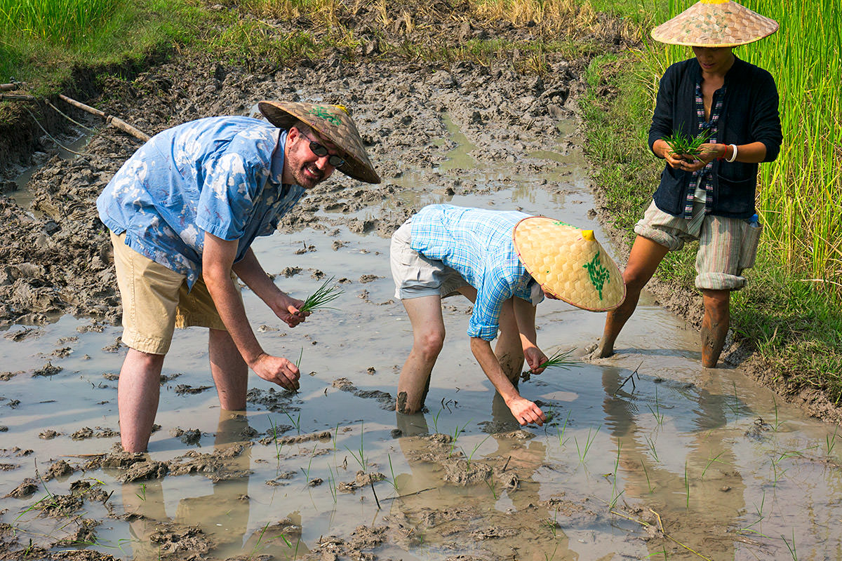 Living Land Rice Farm in Laos