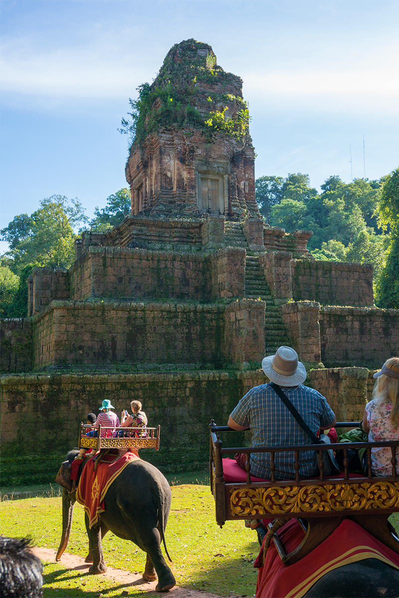 Elephant Ride on Chitham