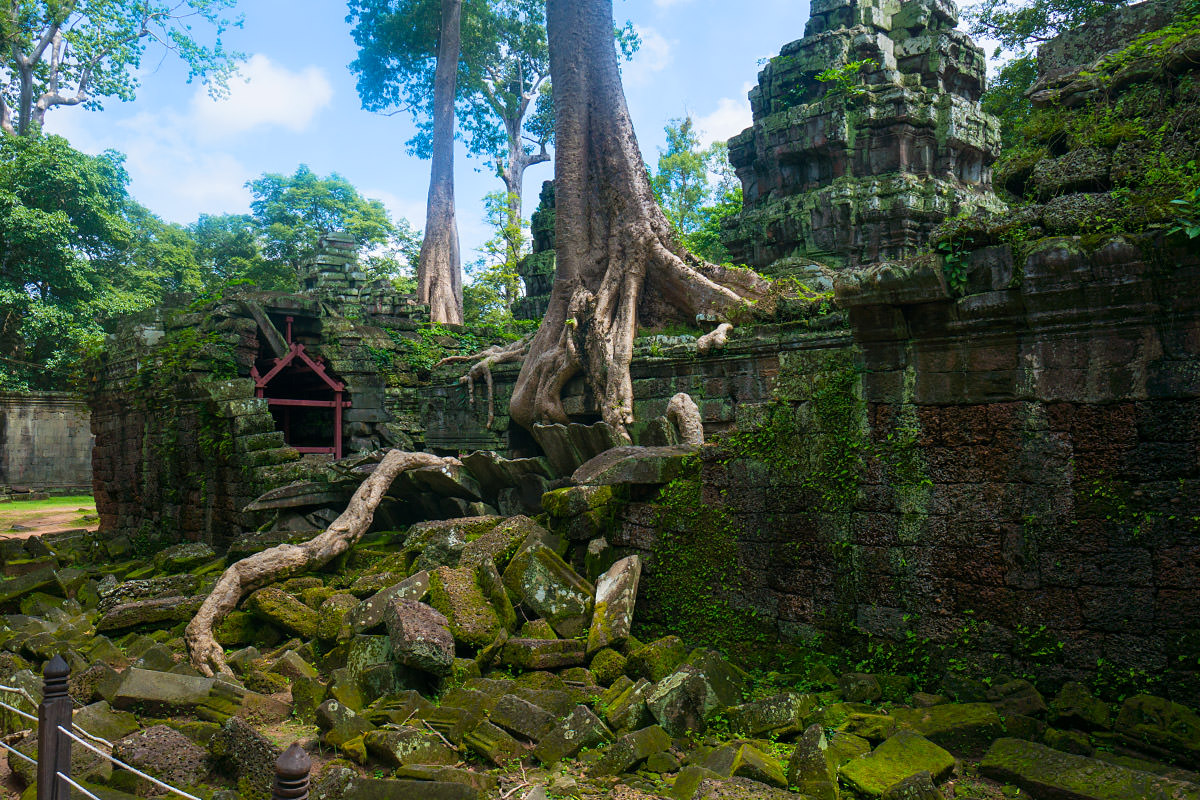 Ta Prohm Temple Angkor