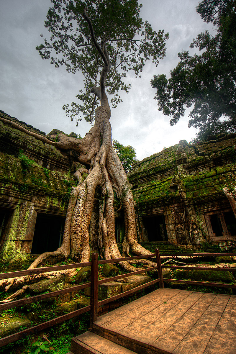 Ta Prohm