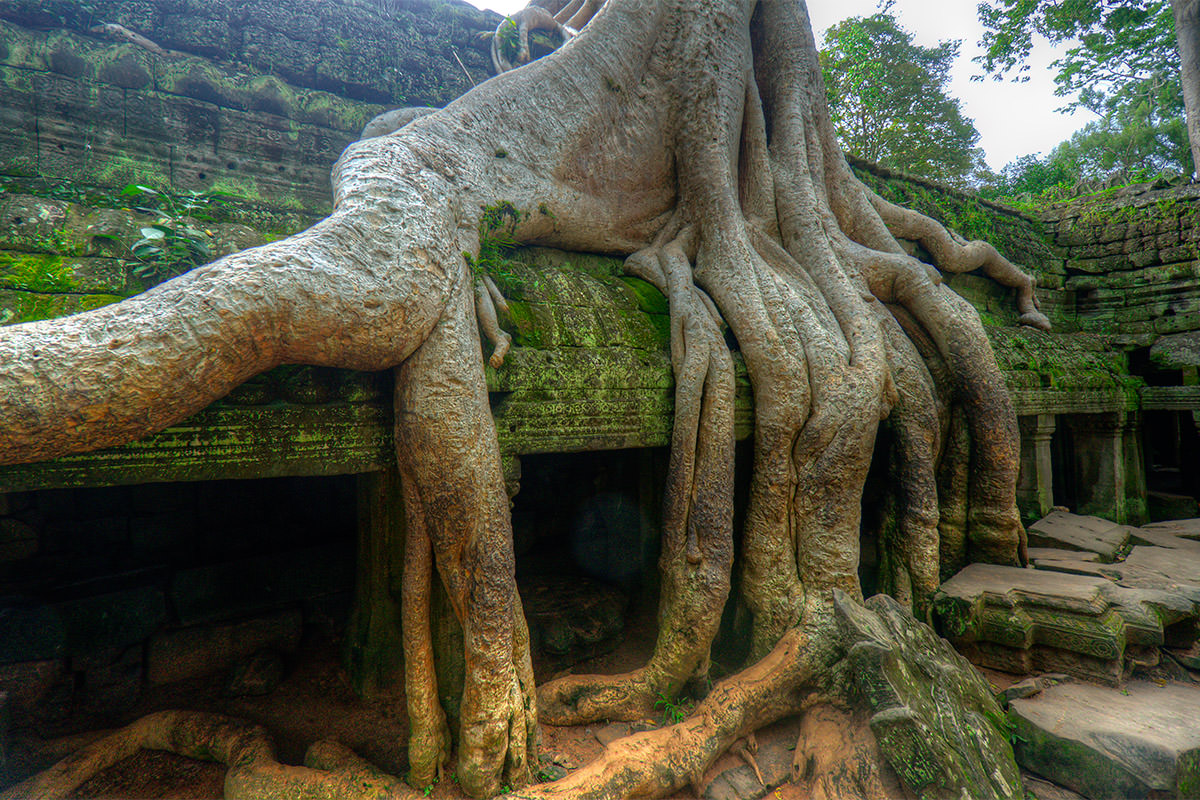 Ta Prohm