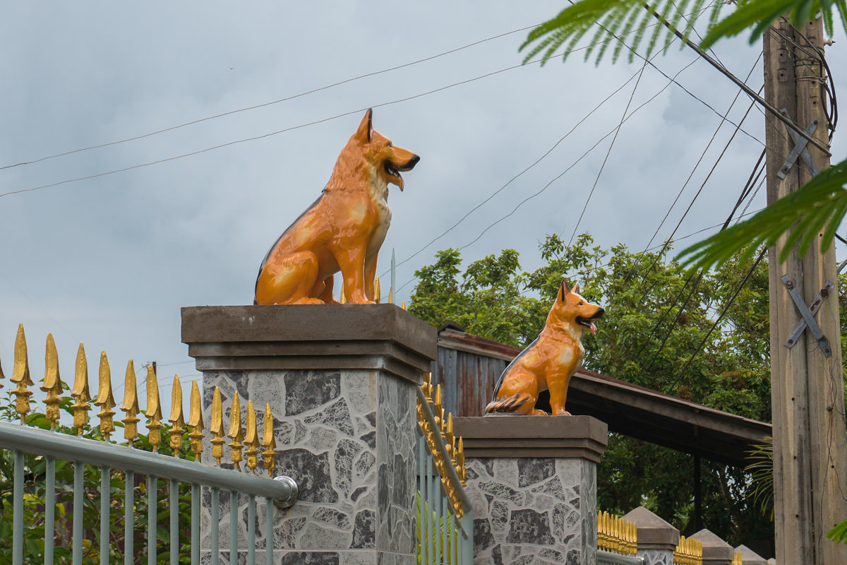 Mekong Dog Statue Guardians