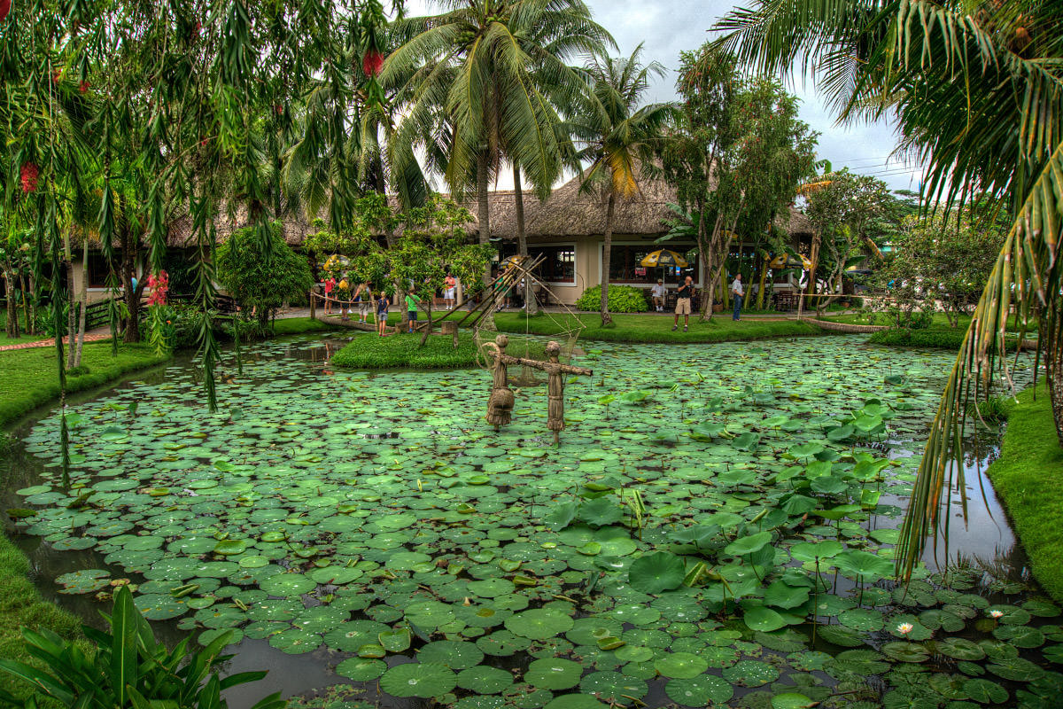 Rest Stop Lily Pond