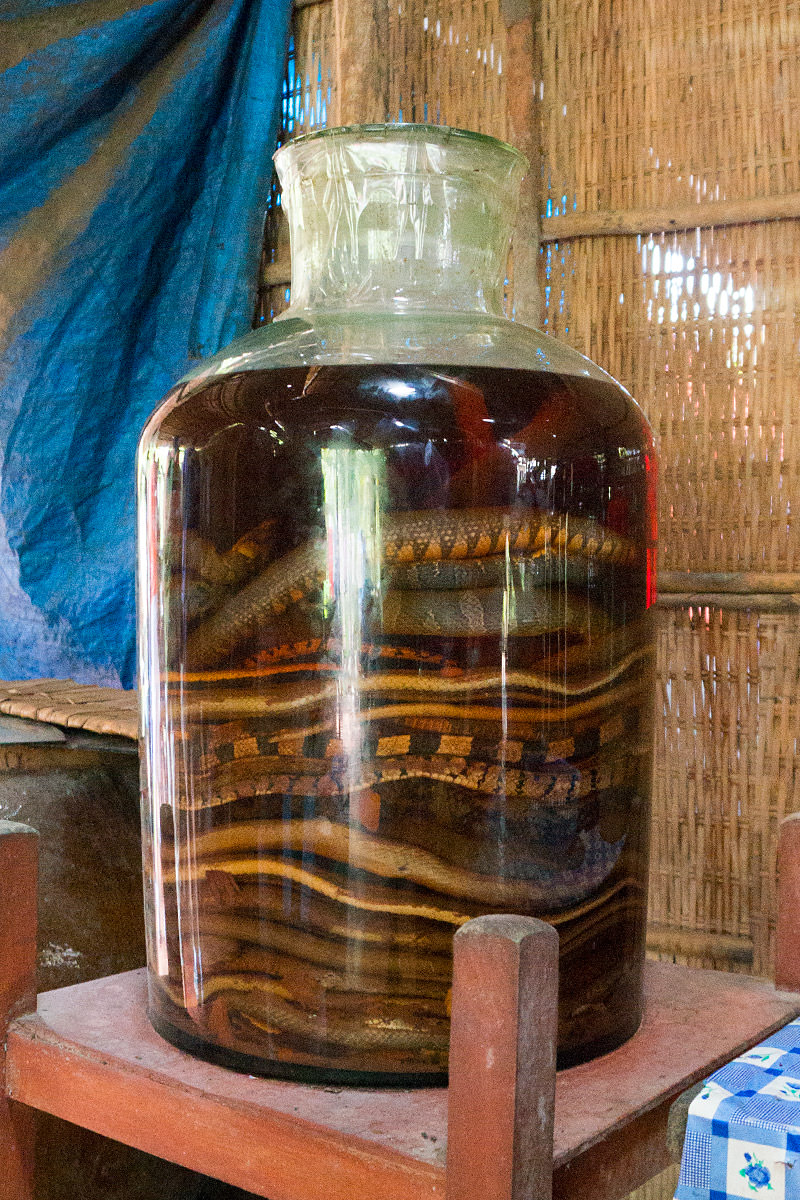 Mekong Vietnam Snake Wine