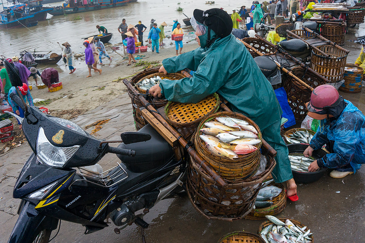 Vietnam Loading Fish on a Bike