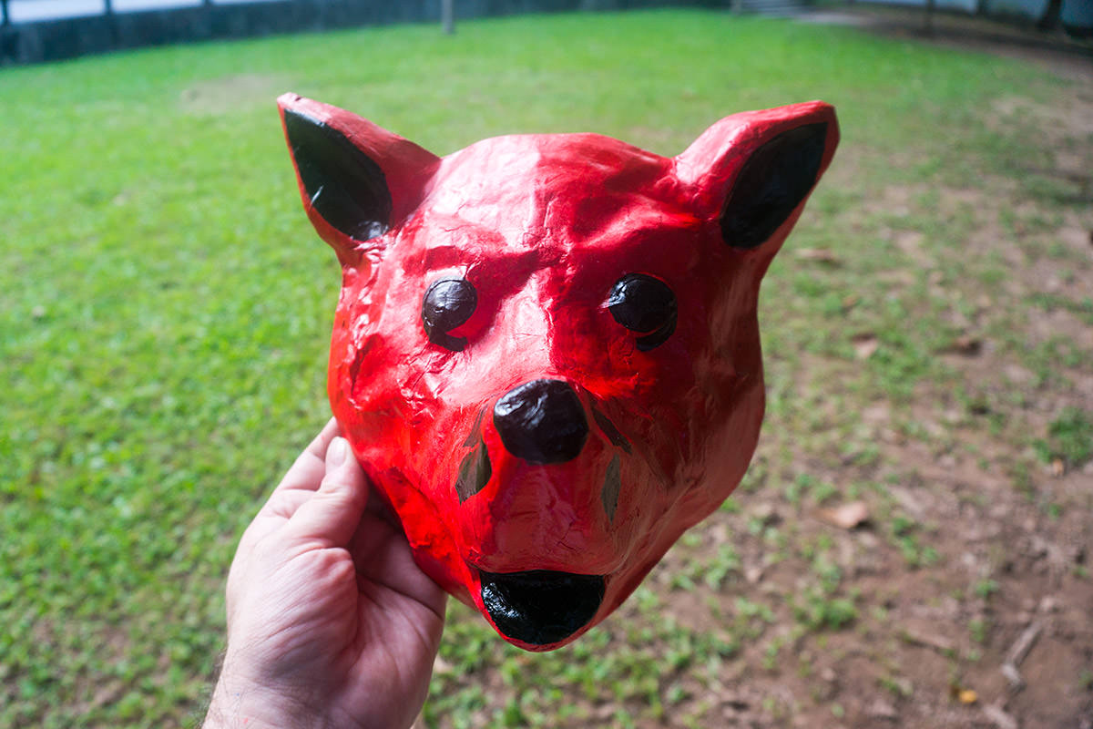 My Red Dog Vietnamese Mask