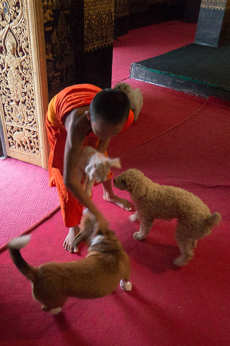 Monks Call to Prayer at a Temple in Luang Prabang, Laos