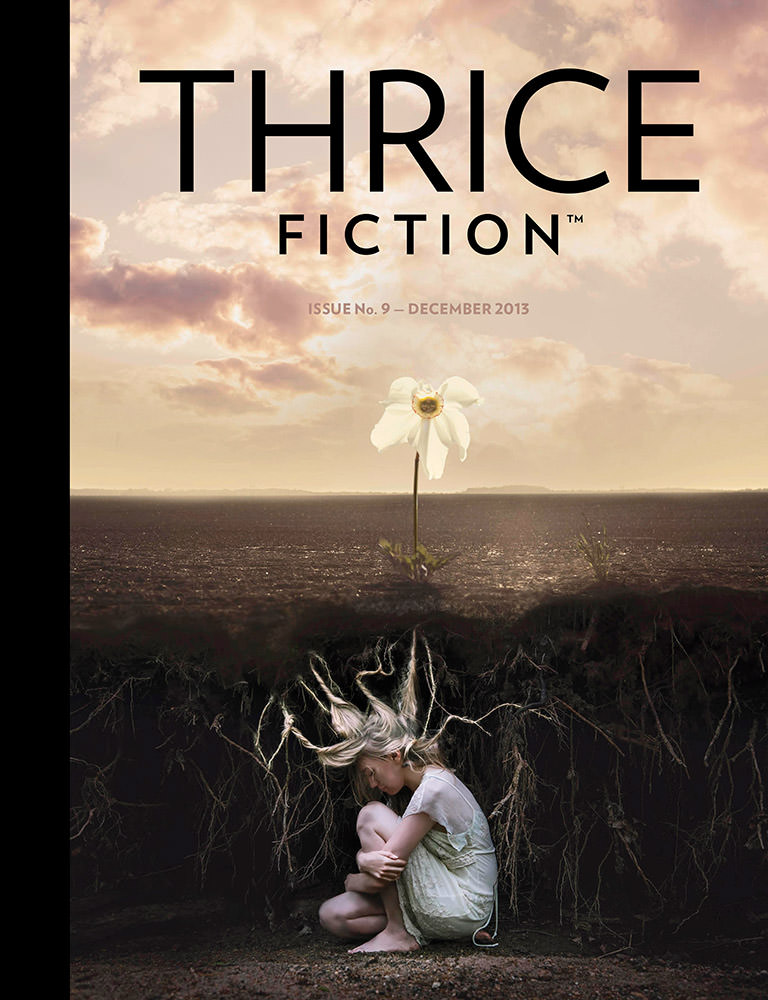 Thrice FictionIssue No. 9