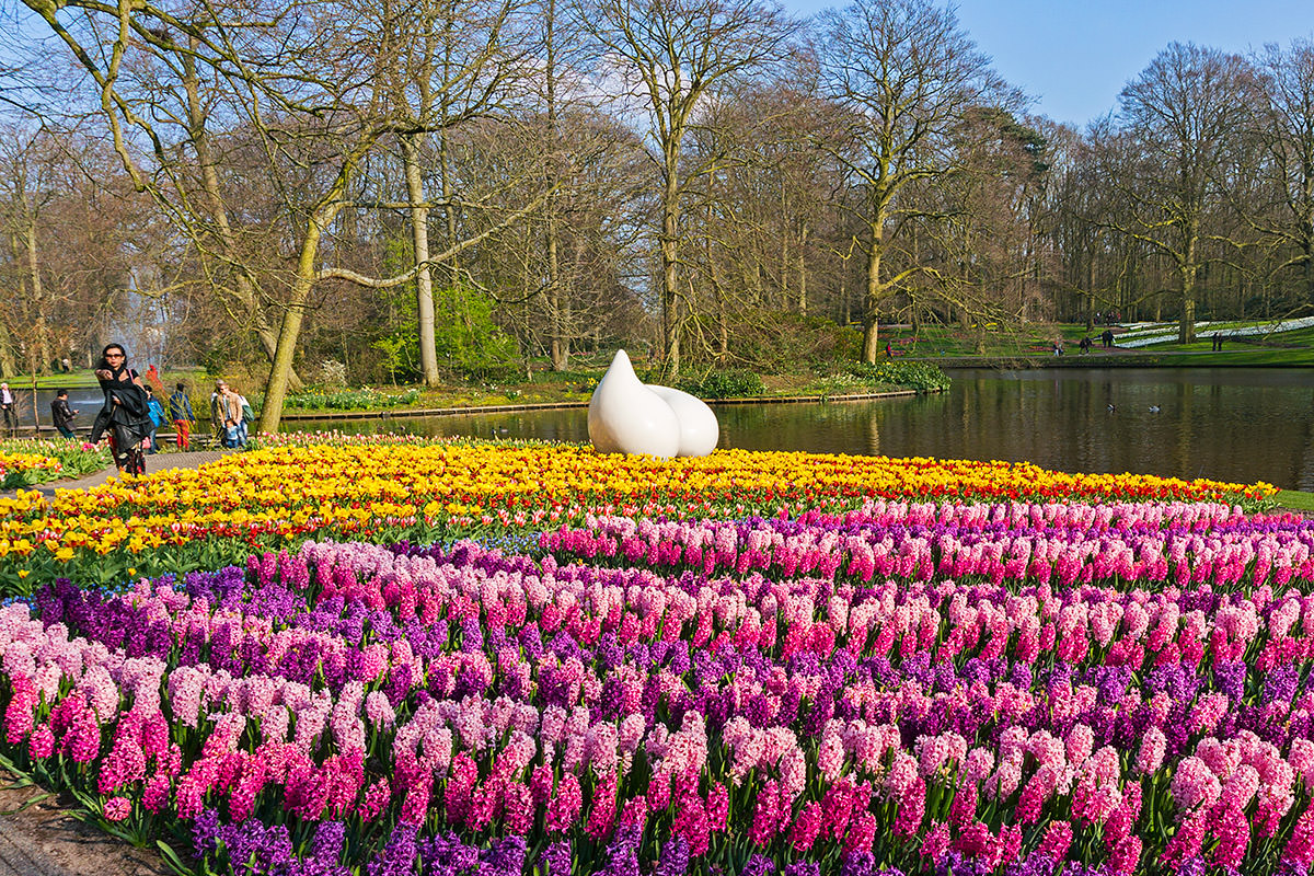 The Keukenhof