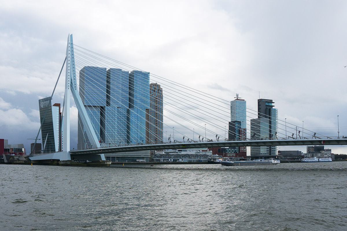 Erasmus Bridge