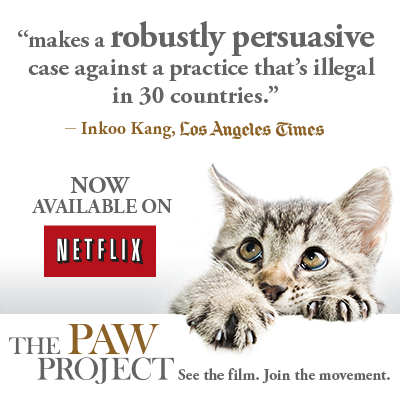 The PAWS PROJECT Poster