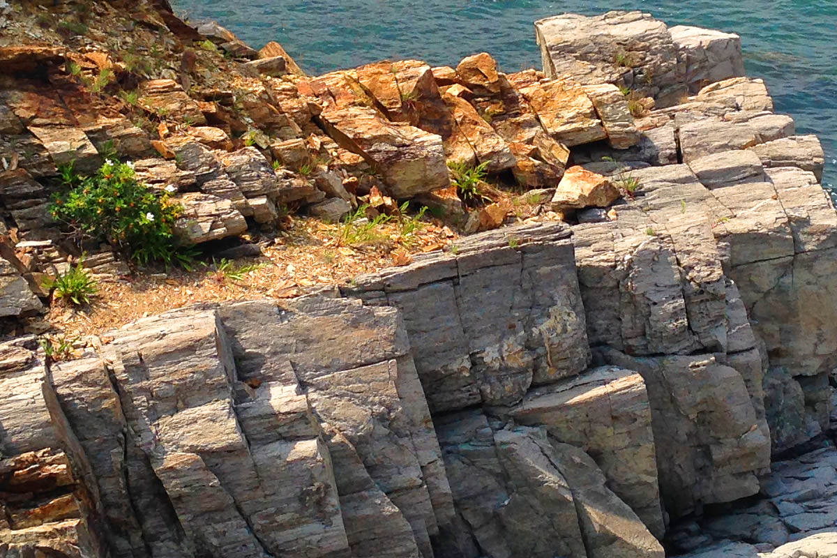 Portland Head Light State Park