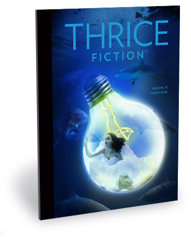 THRICE Fiction No. 11