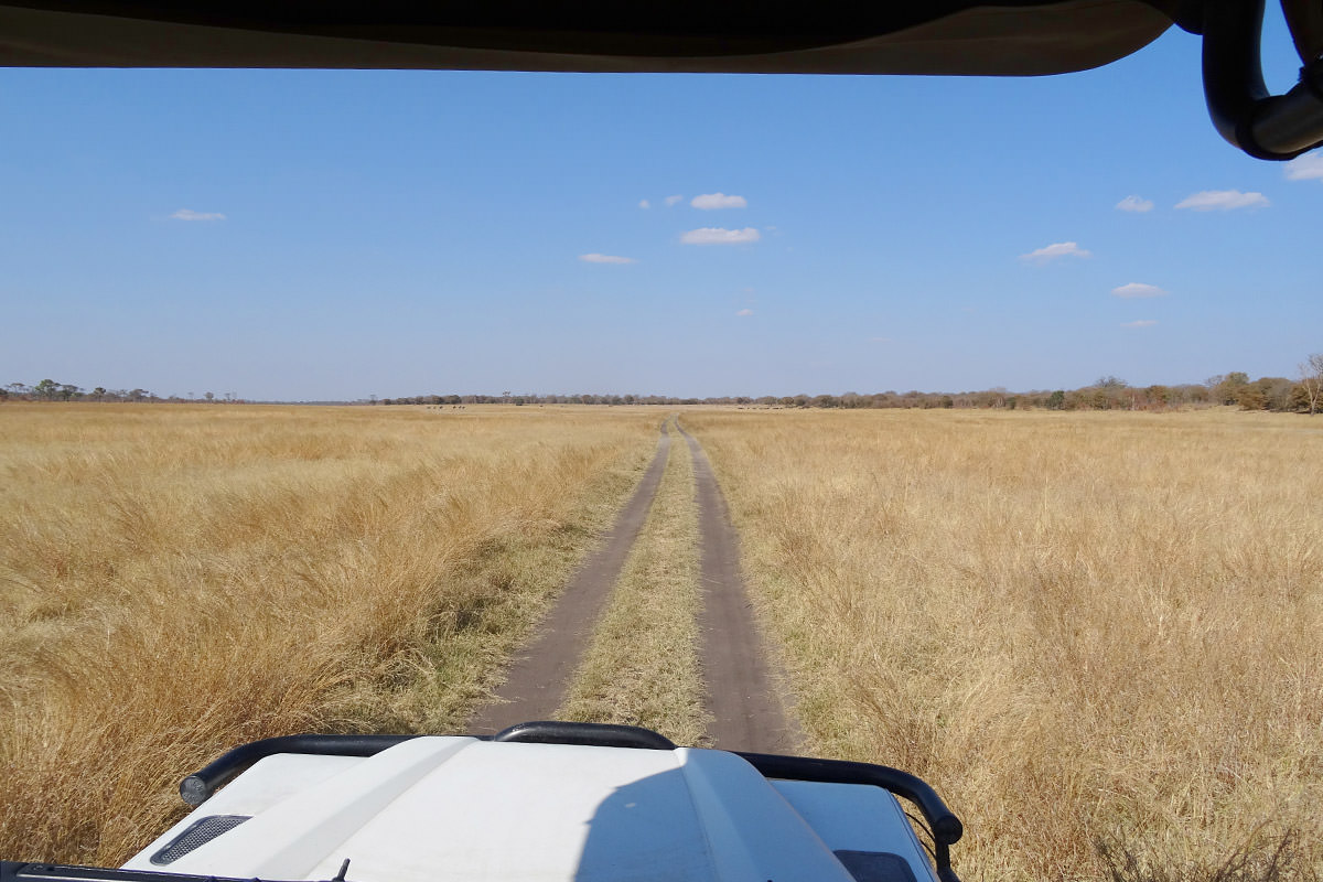 Hwange Grasslands