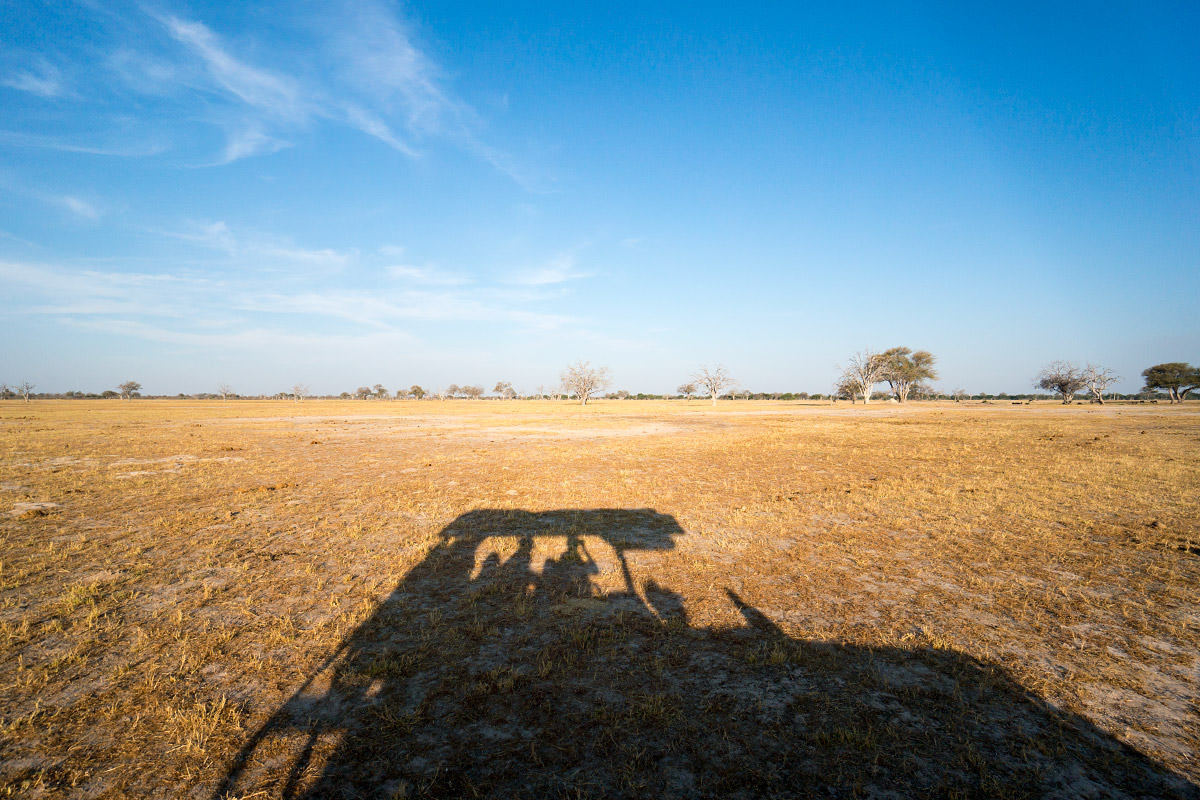 Hwange Plains