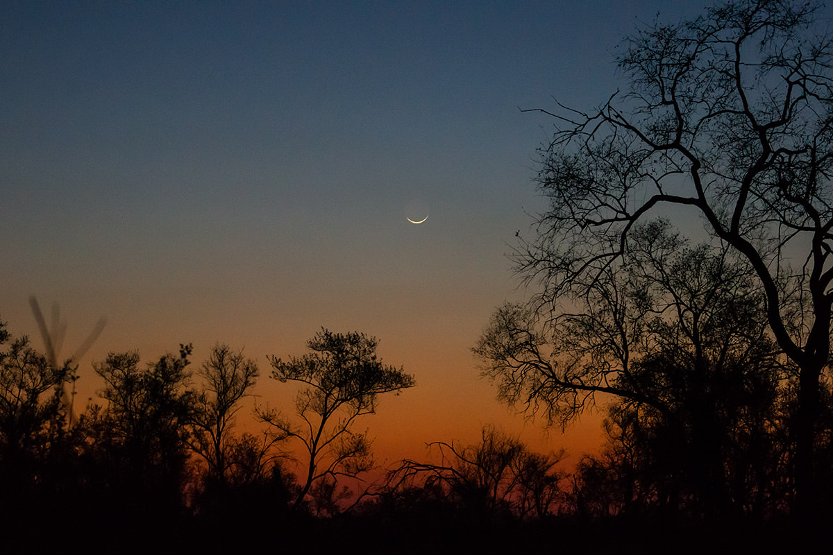 Hwange Sunset Zimbabwe