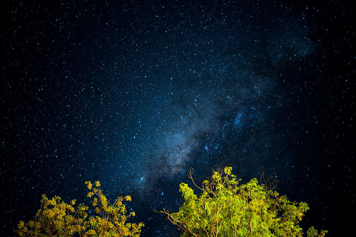 Zimbabwe Night Sky Milky Way