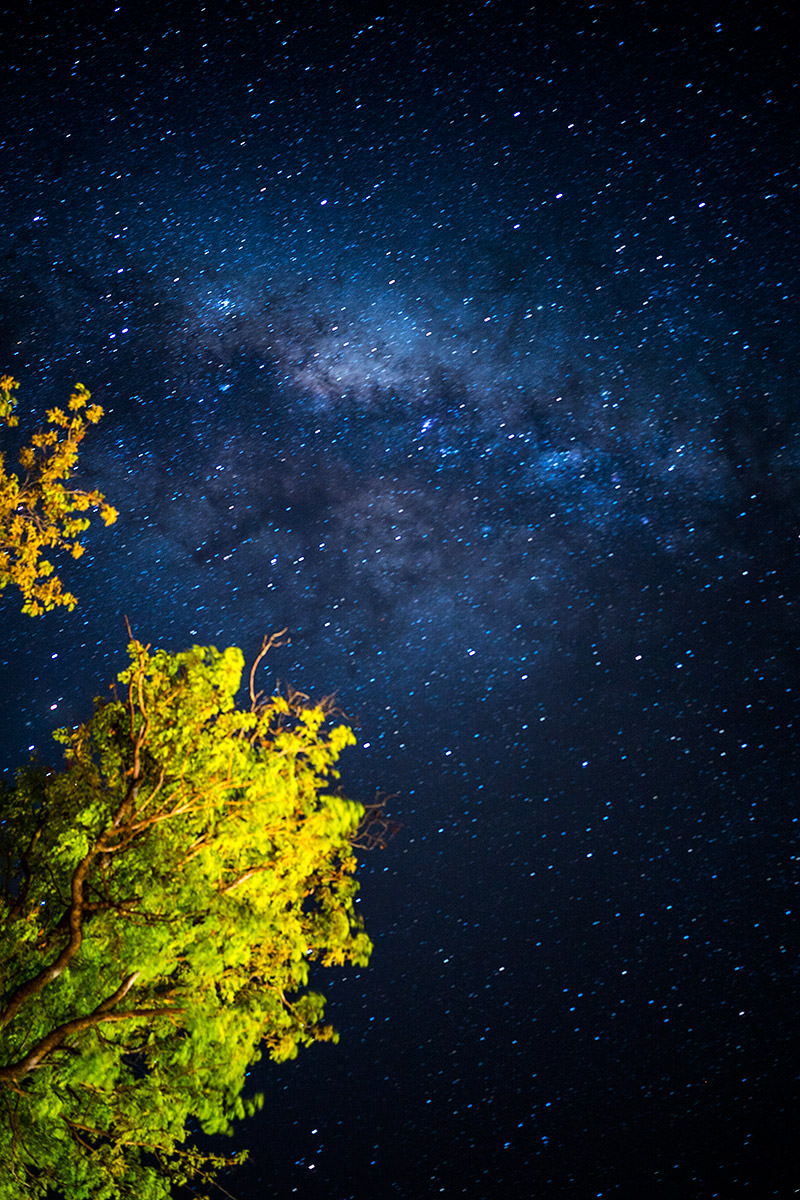 Zimbabwe Night Sky Milky Way