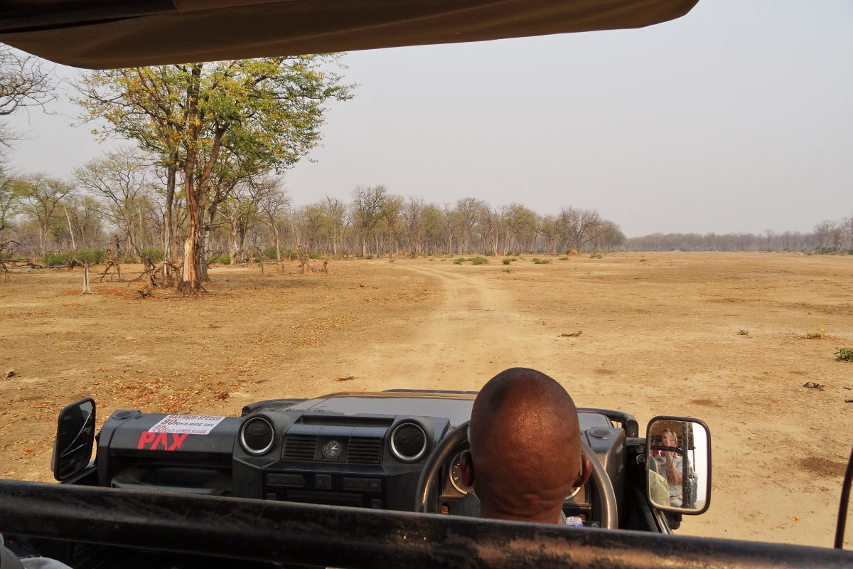 Drive to Mana Pools and Ruckomechi Camp