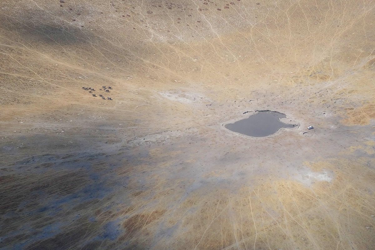 Zimbabwe Watering Hole