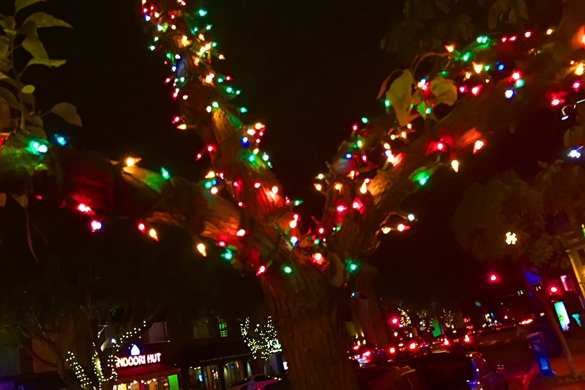 San Diego Gaslamp Quarter Chinese Lunar New Year