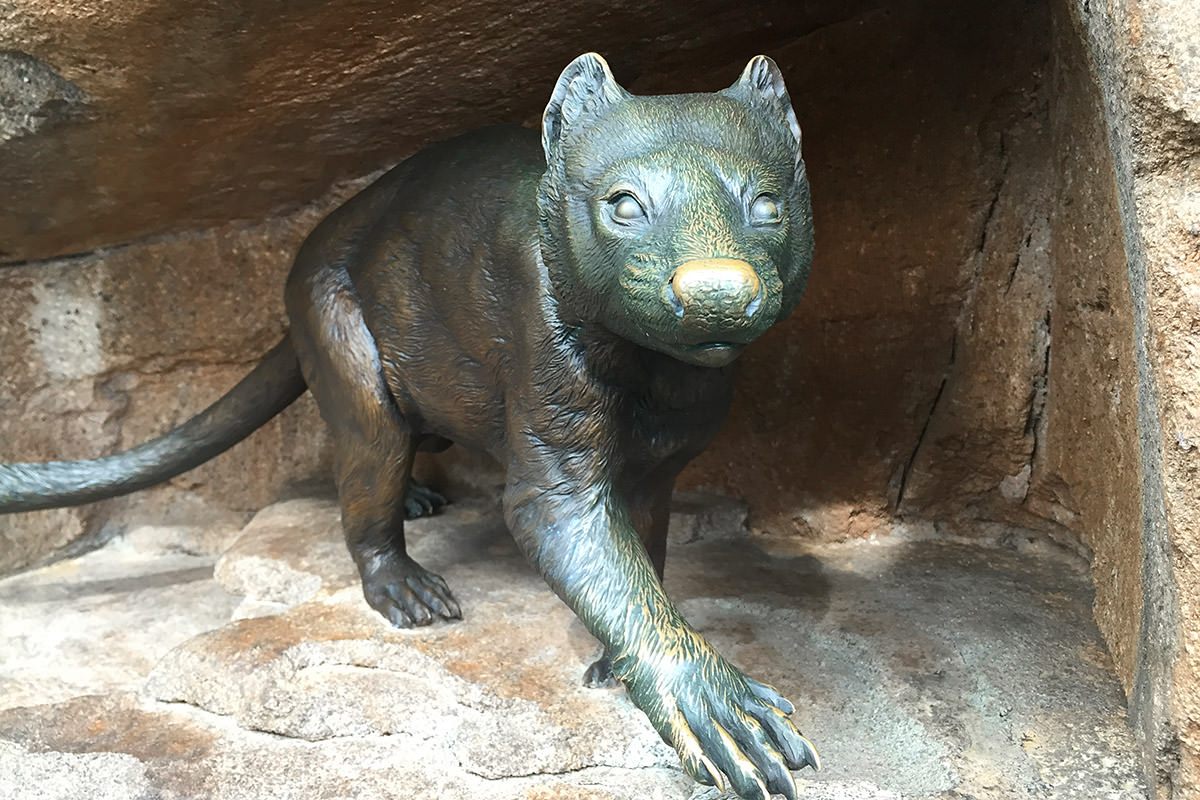San Diego Zoo Australian Outback Tasmanian Devil Statue