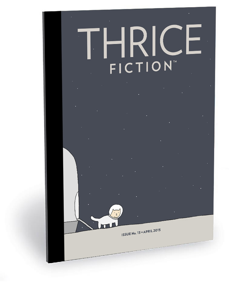 THRICE Fiction No. 13