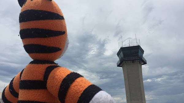 Hobbes at Tampa Airport