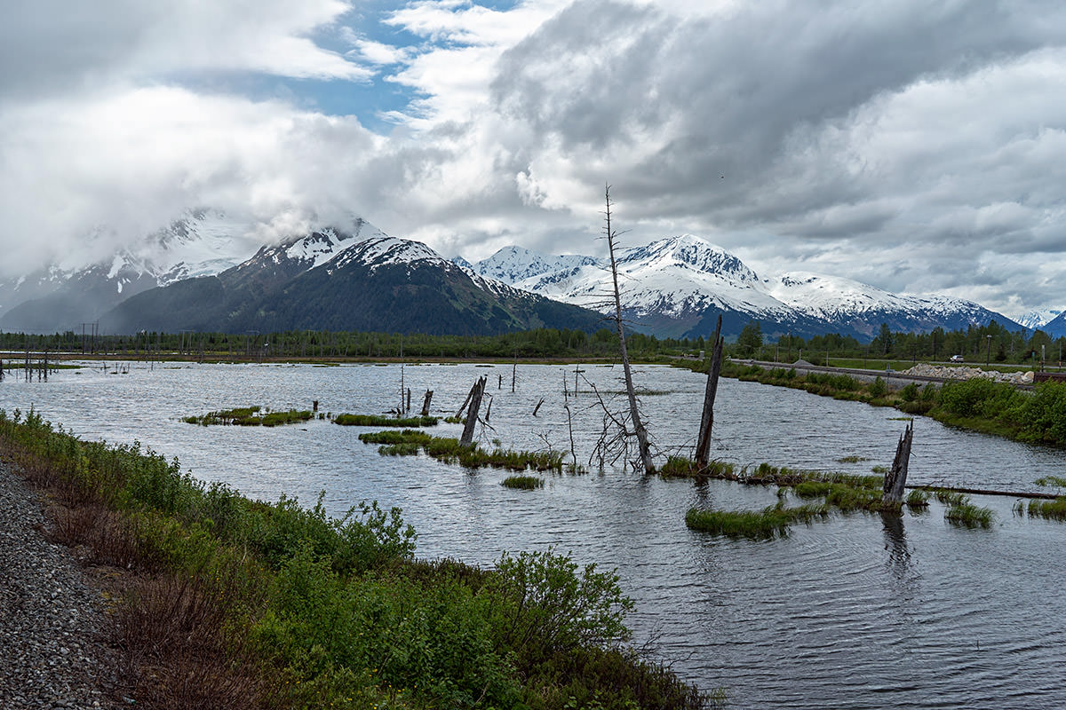 Alaska Railroad Journey