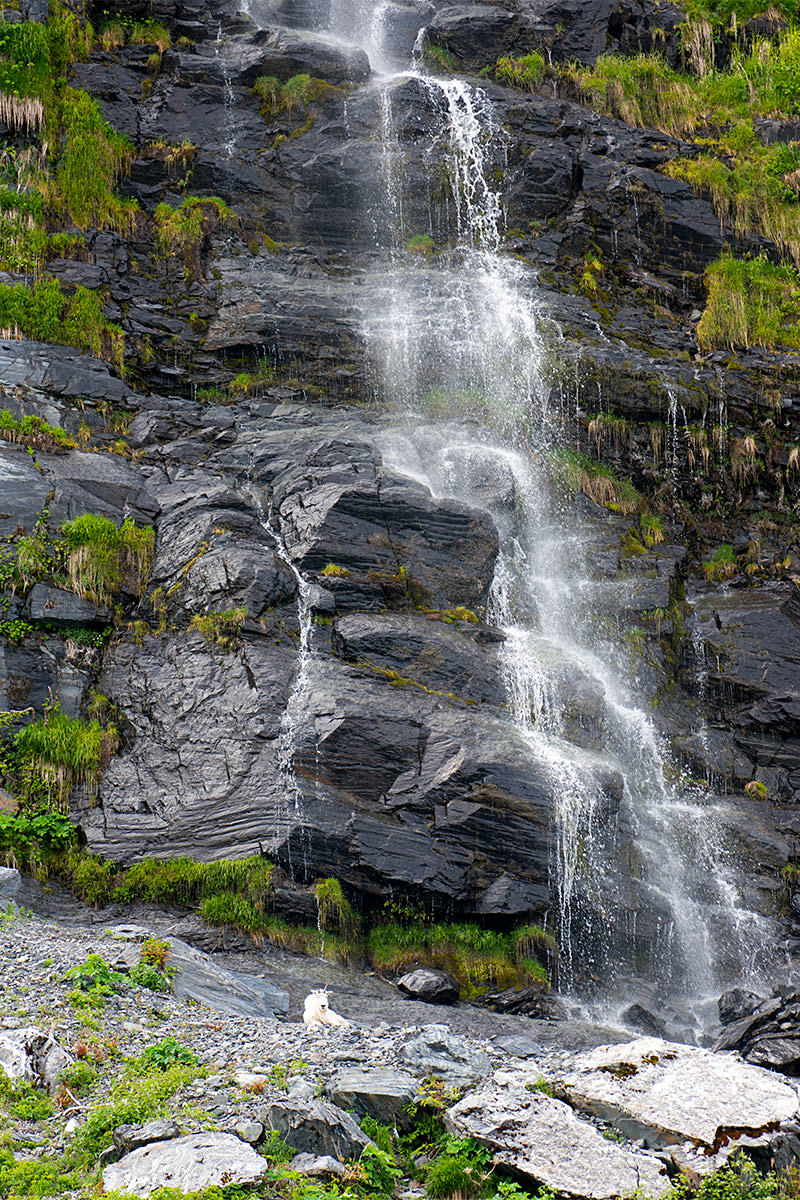 GPrince William Sound Waterfall