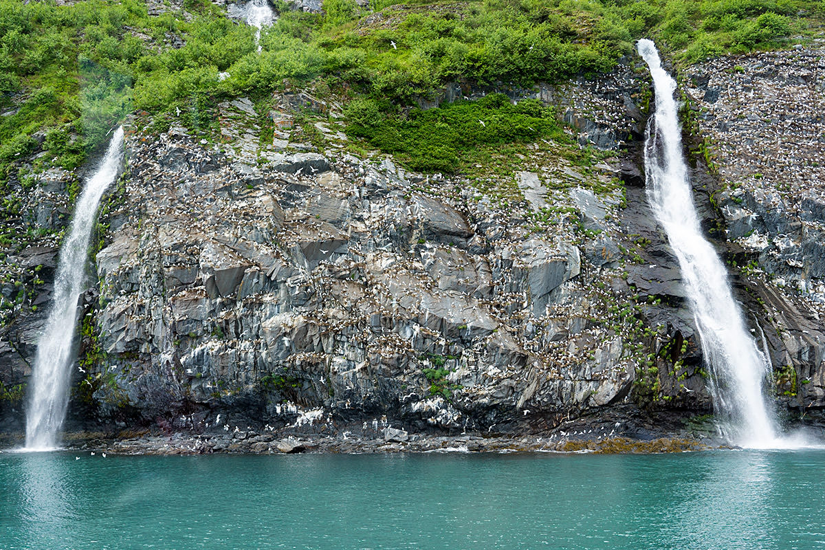 Glacier Cruise Alaska Prince William Sound