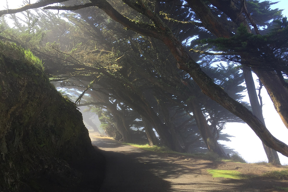 Point Reyes Lighthouse