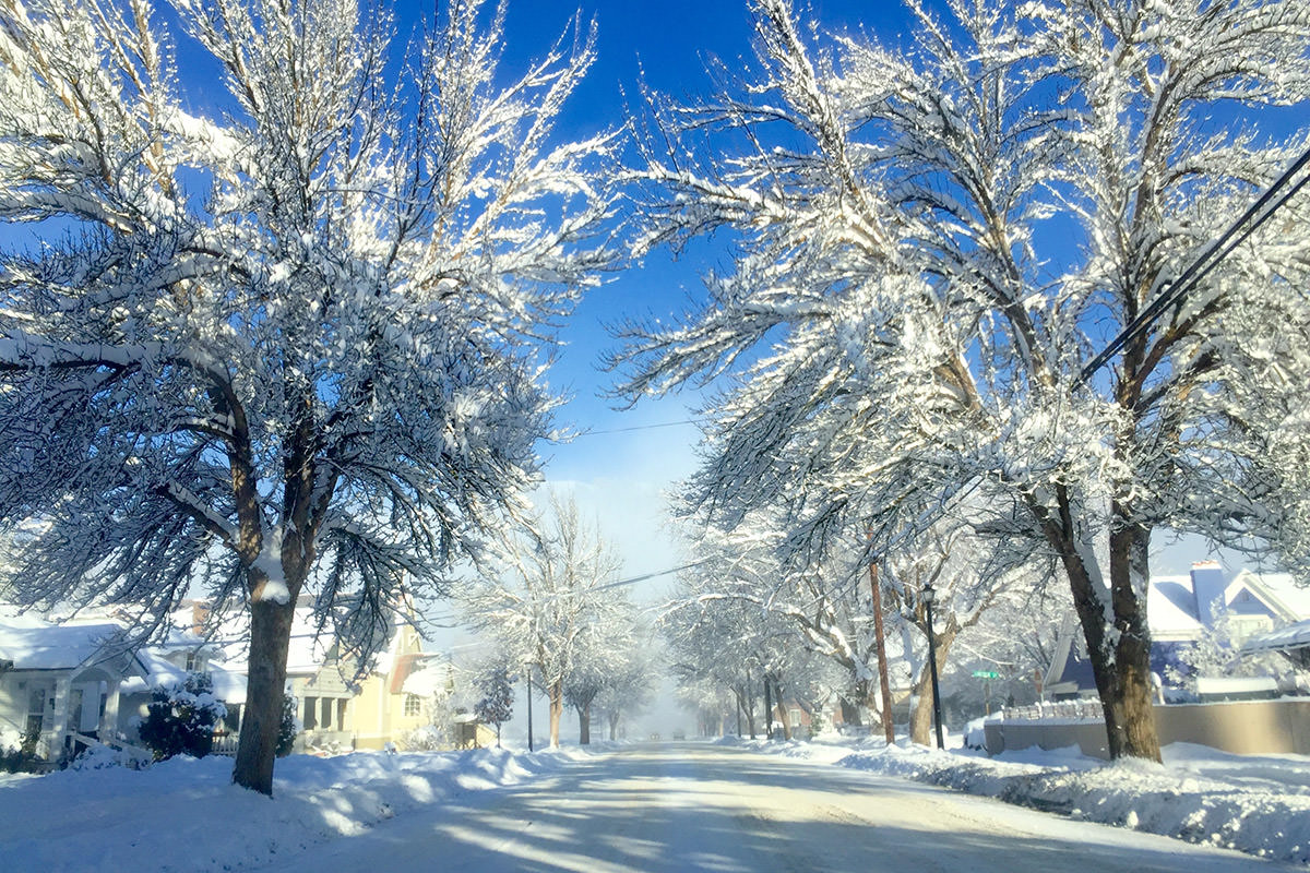 Winter Wonderland