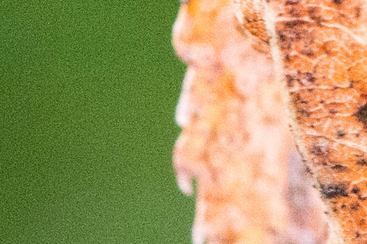 Sony 90mm MACRO