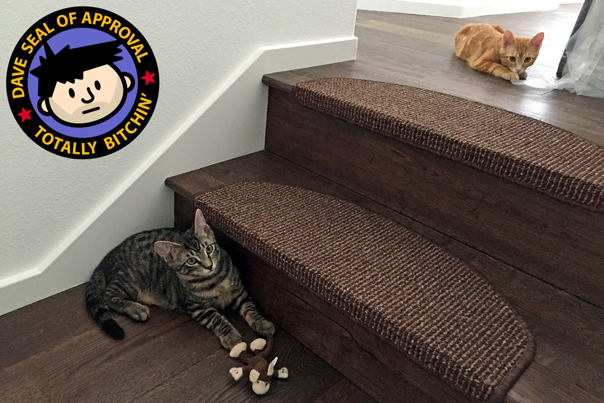 Jake and Jenny kittens on casa pura stair treads!