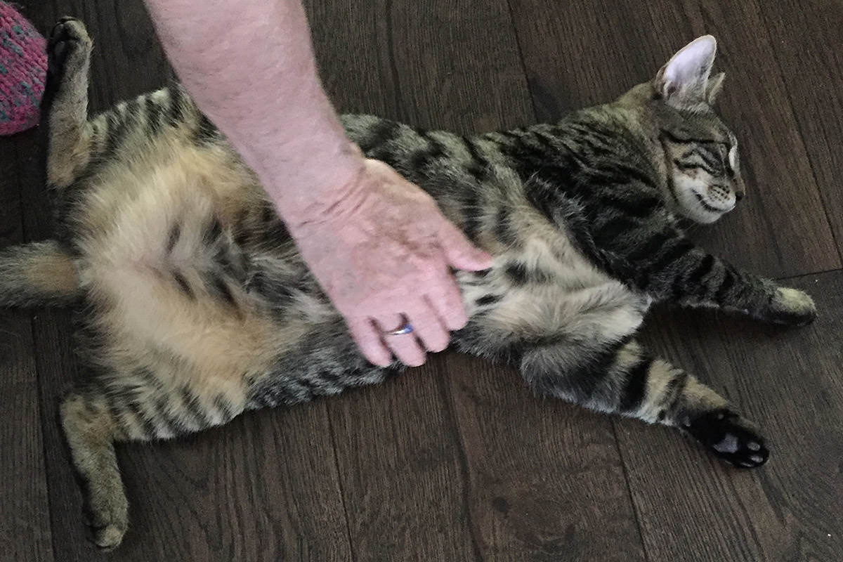 Jake Belly Rubs