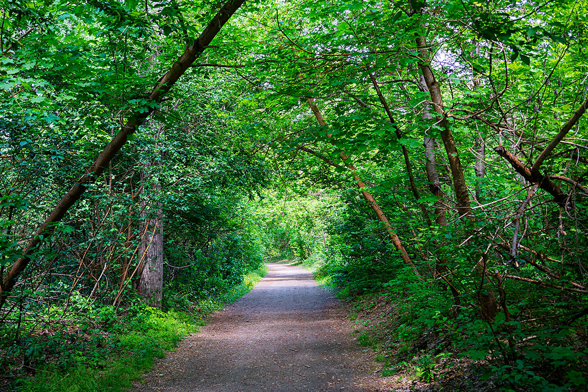 A Walk in the Park!