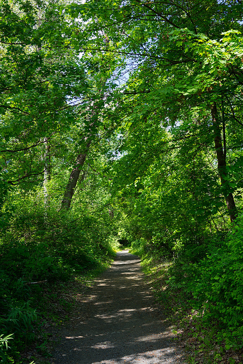 A Walk in the Park!