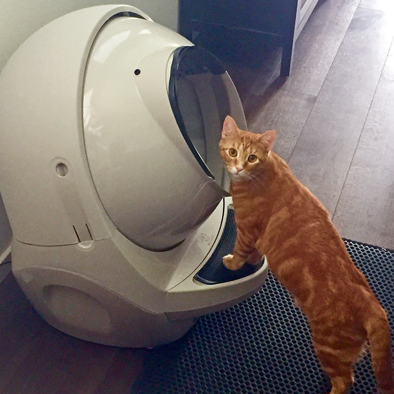 Jenny and Litter Robot