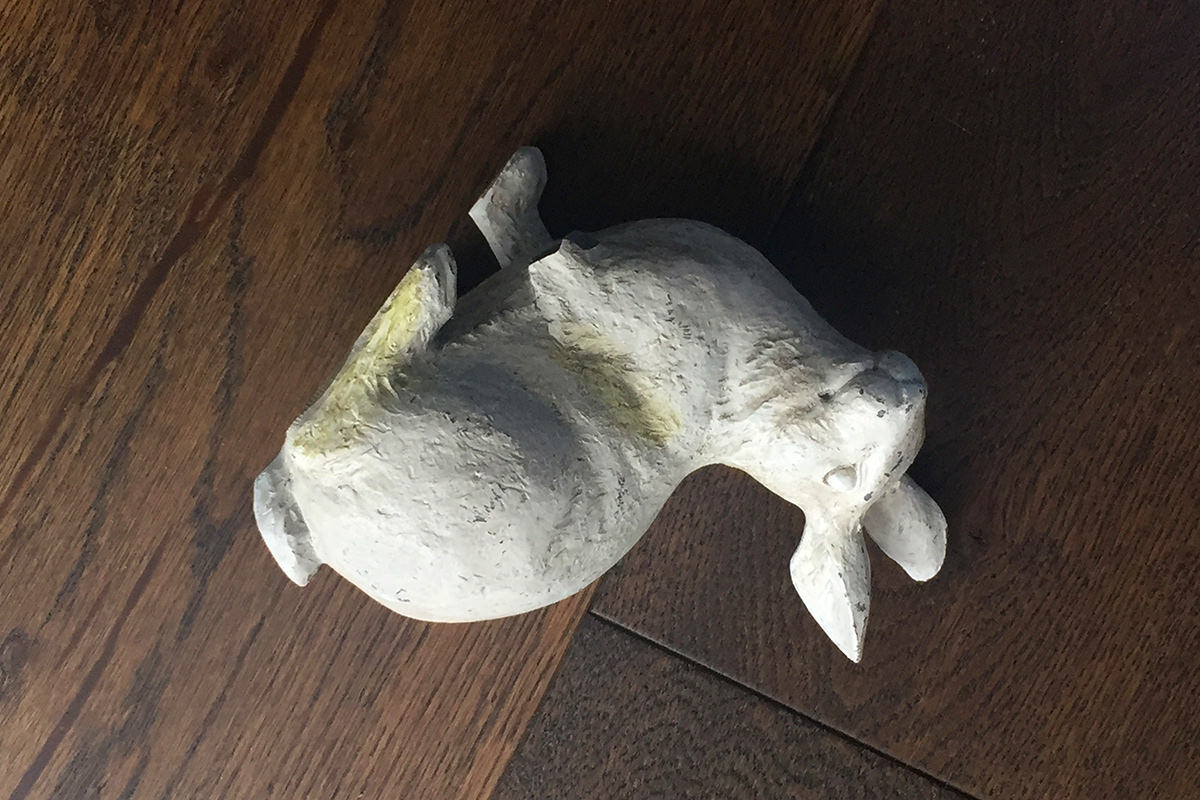 Dead vintage rabbit.
