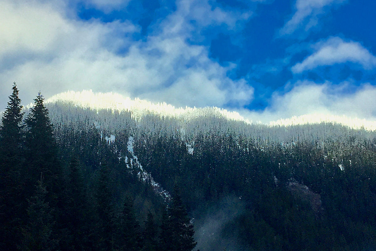 Mountain Snow Line.