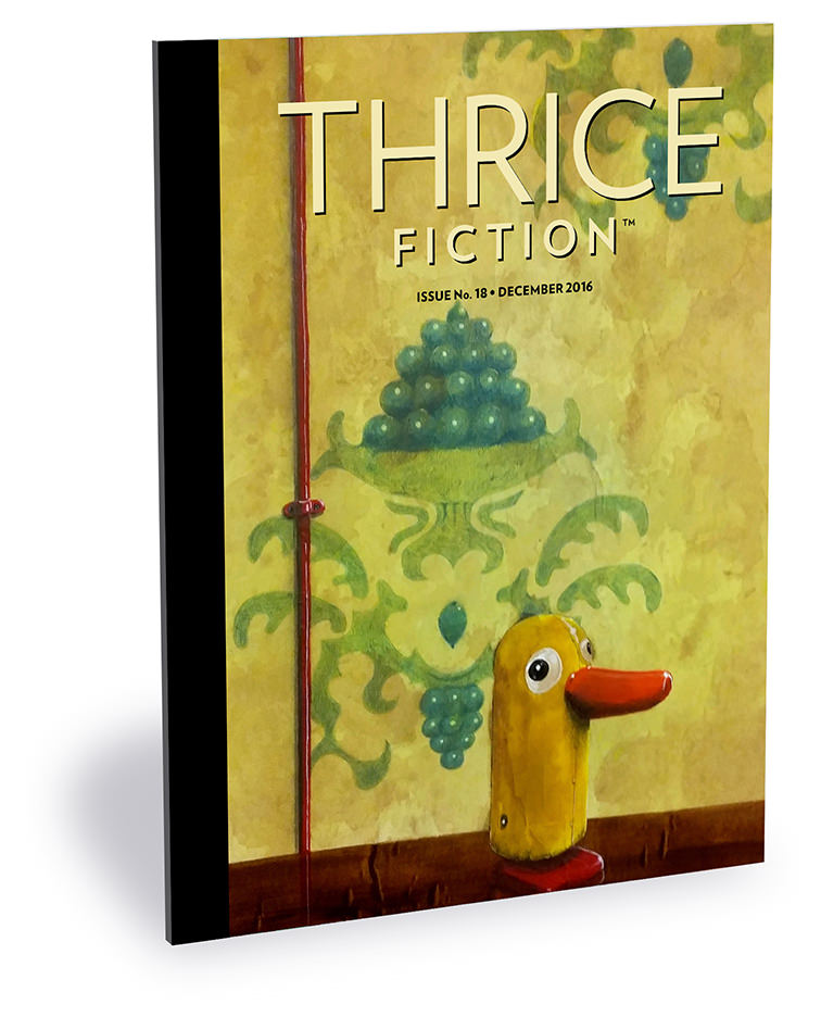 Thrice Fiction Magazine Issue No. 18