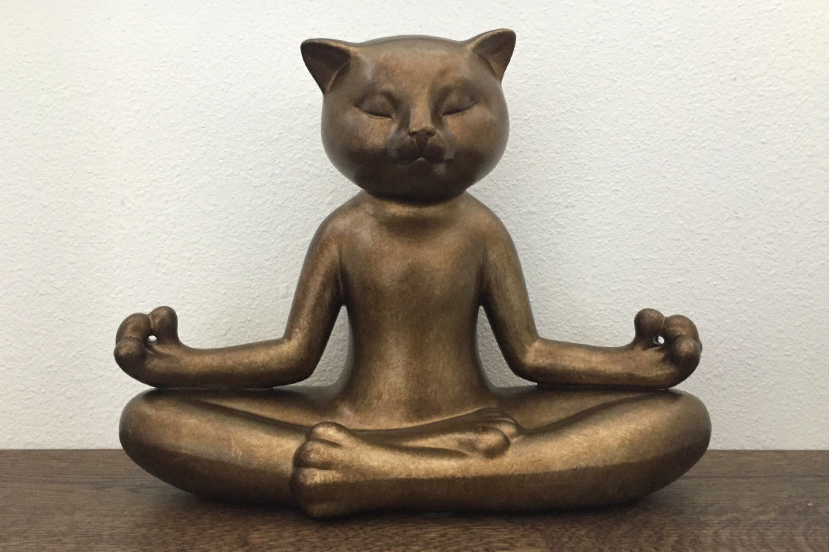 BuddhaCat