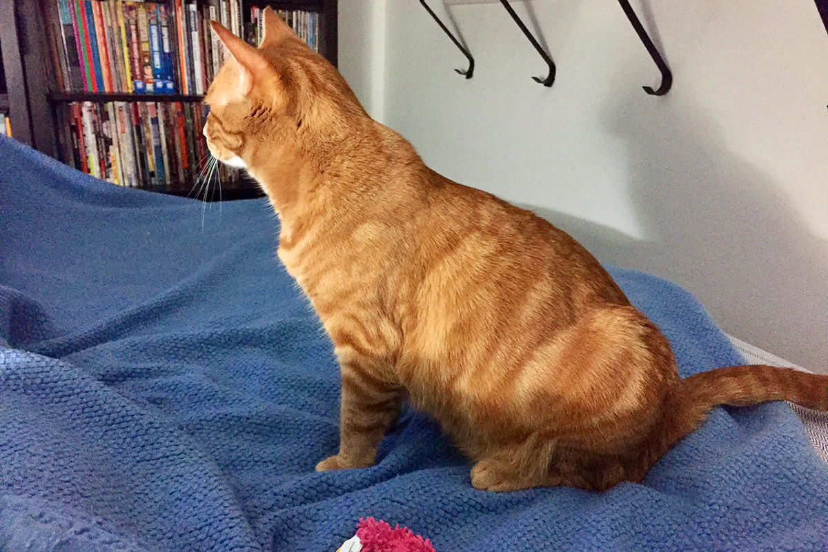 Jenny Watching TV!