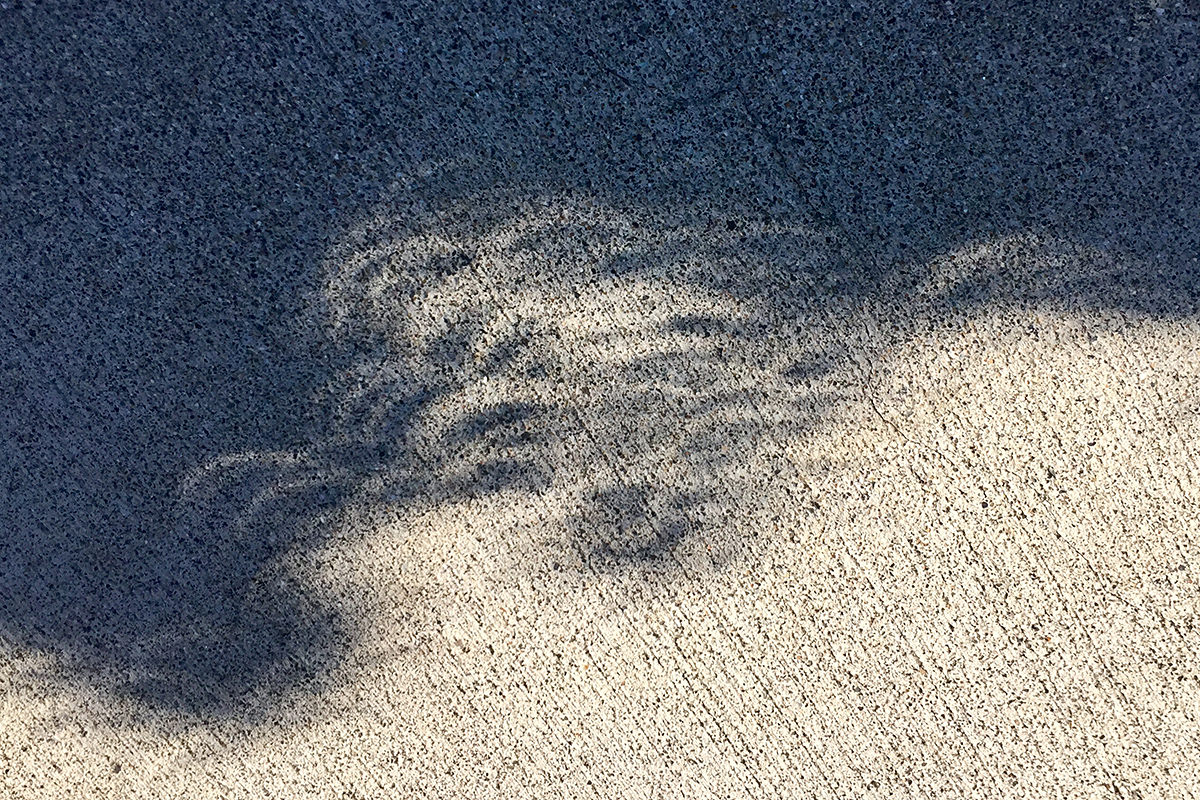 Total Eclipse Shadows!