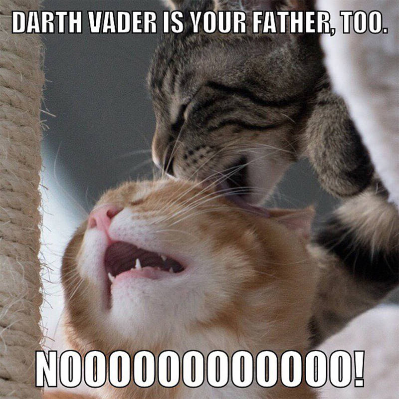 Jake and Jenny Darth Vader