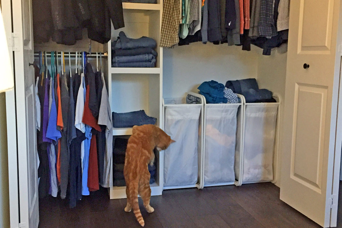 Jenny Investigates My Closet Organizer!