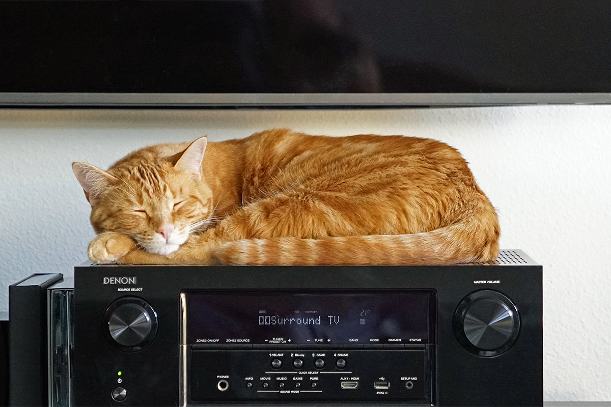 Jenny on the Stereo Receiver
