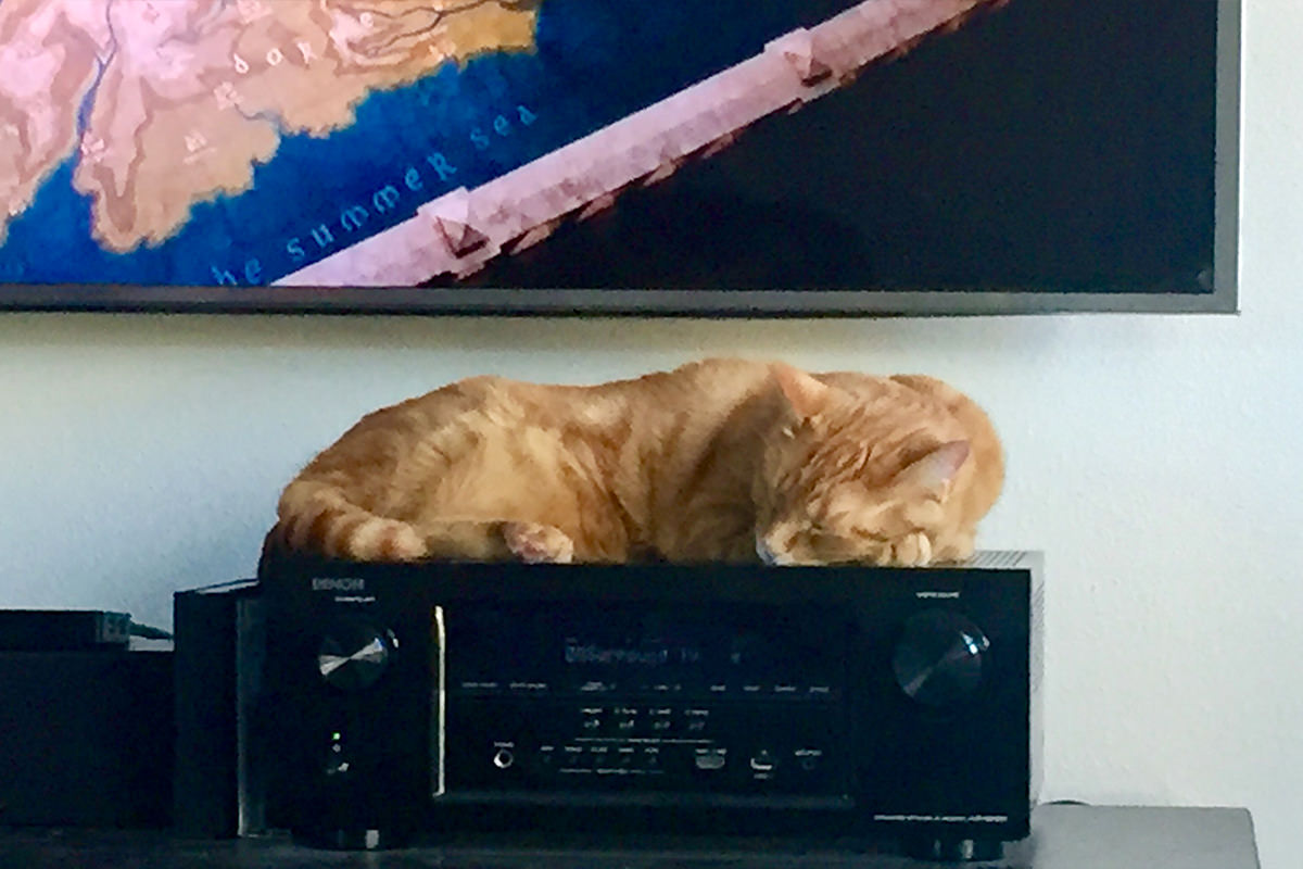 Jenny on the Stereo Receiver