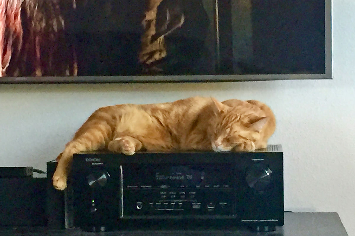 Jenny on the Stereo Receiver